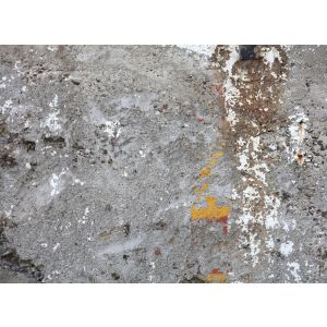 118789 Фототапет Beton Detail