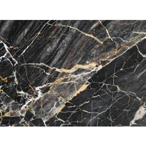 118762 Фототапет Black Gold Marble