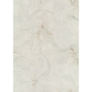 1051414 Wallpaper Vinyl Aurora