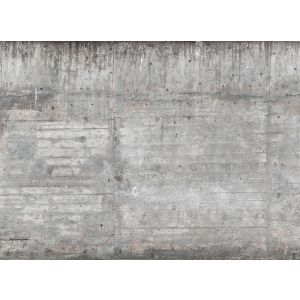 118750 Фототапет Concrete Wall