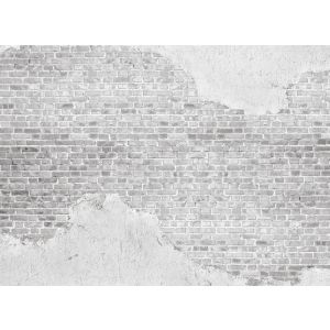 118770 Фототапет Old Brick Wall
