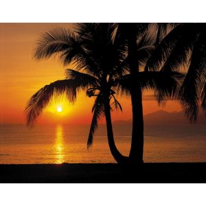 8-255 Palmy Beach Sunrise