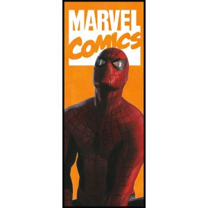 IADX2-070 фототапет Spider - Man Comic