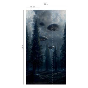 27240509 Фототапет Les Aventures 2024