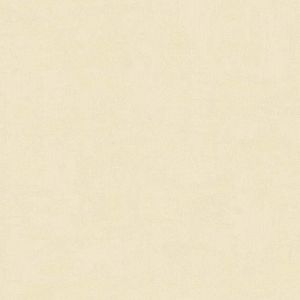 27531 Wallpaper Vinyl Raccolta Uniti 2025