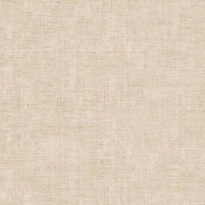 27587 Wallpaper Vinyl Raccolta Uniti 2025