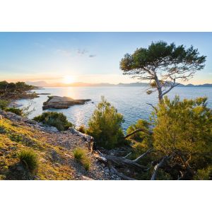 SHX8-013 Фототапет Licht des Sudens