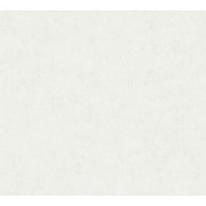 393301 Wallpaper Vinyl AP ARCADE