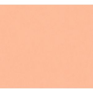 393309 Wallpaper Vinyl AP ARCADE