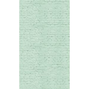 39828-1 Фототапет The Wall 3