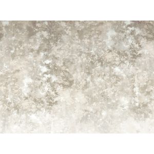 40090 Фототапет JV201 Murals Decor