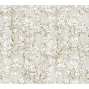 40180 Фототапет JV201 Murals Decor