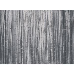 40320 Фототапет JV201 Murals Decor