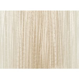 40330 Фототапет JV201 Murals Decor