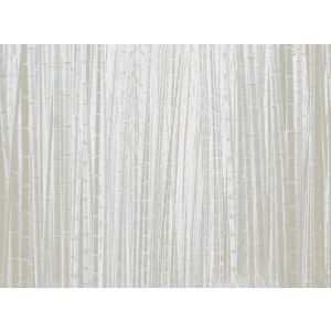 40340 Фототапет JV201 Murals Decor