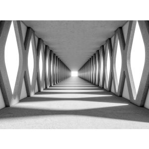 118744 Фототапет Grey Aisle