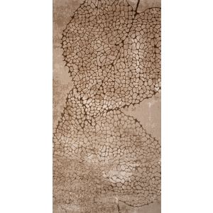 74300.280 Beige/Brown Mika Creation Rug