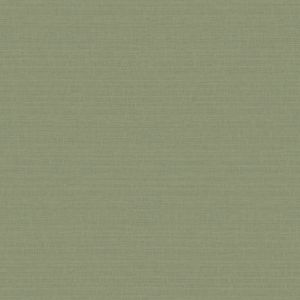 51233114 Wallpaper Vinyl Abaca