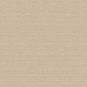 51233117 Wallpaper Vinyl Abaca