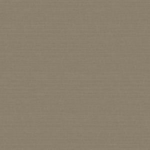 51233118 Wallpaper Vinyl Abaca