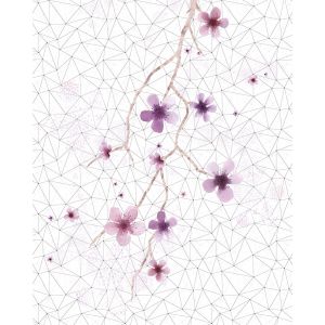 6033C-VD2 Фототапет Cherry Tree