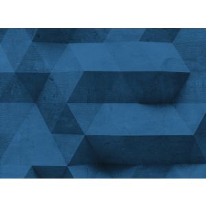 118732 Фототапет Concrete Surf 2