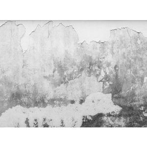 118766 Фототапет Brittle Wall