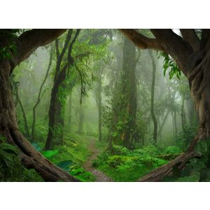 118632 Фототапет  Tropical Forest