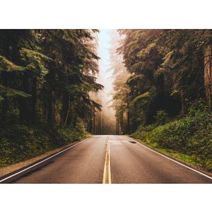 118636 Фототапет  Road Trip