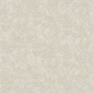 66122 Wallpaper Textura