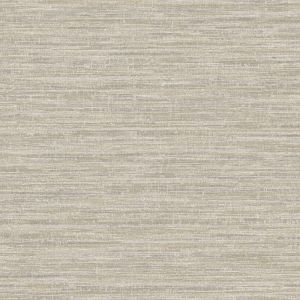 66200 Wallpaper Textura