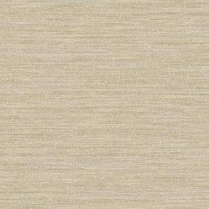 66203 Wallpaper Textura