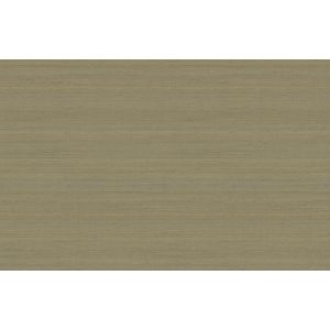 6853 Wallpaper JV602 Jaipur