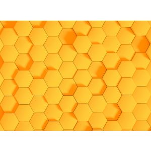 118728 Фототапет Honey Comb 2