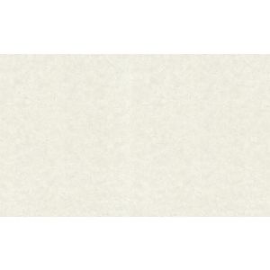 72965 Тапет Винил Zen EP