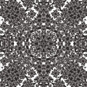 V5-765 PHOTOMURAL 250/250 СМ