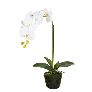 G230104-1 Artificial Flower White Orchid