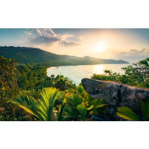 SHX9-039 Фототапет Golden Air