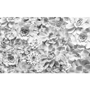 P962-VD4 Фототапет Shades Black and White - Domko.com P962-VD4 Фототапет Shades Black and White