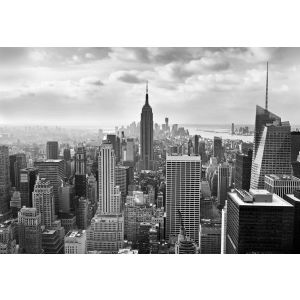 8-323 Фототапет Nyc Black And White