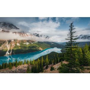 SHX9-098 Фототапет Wonderland Canada