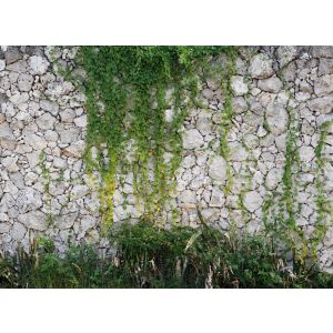 118793 Фототапет Stonewall