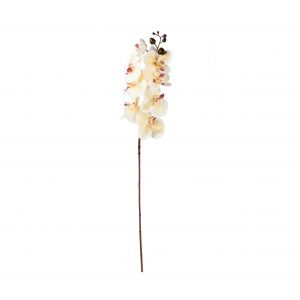 Artificial flower Orchid Beige