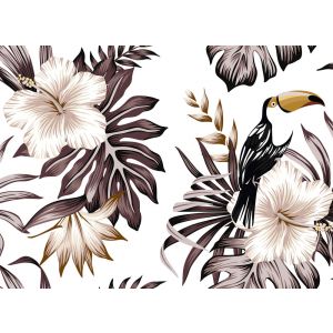 118578 Фототапет Toucan 2