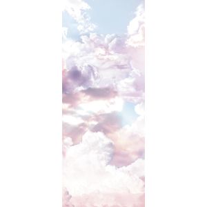 6027A-VD1 Фототапет Clouds Panel