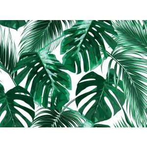 118572 Фототапет Palm Leaves 1