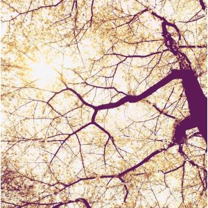 V5-752 PHOTOMURAL 250/250 СМ