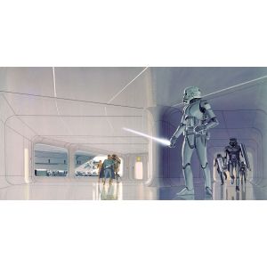 DX10-064 Фототапет Star Wars Stormtrooper Hallway