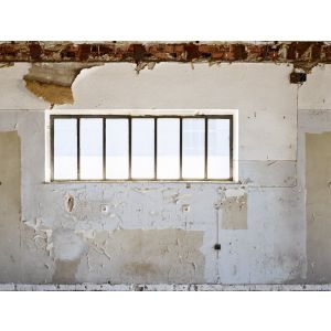 39224-1 Фототапет The Wall 2