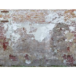 39226-1 Фототапет The Wall 2